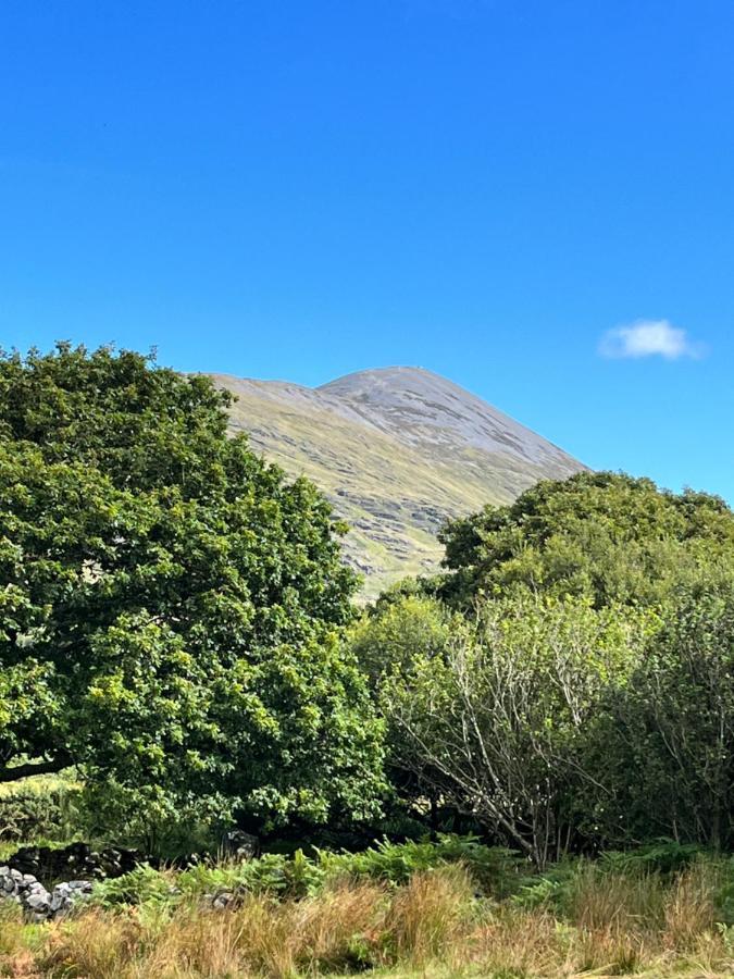 The Hazel Hut Villa Westport Exterior photo